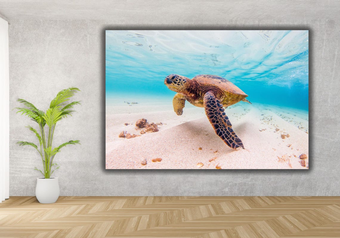 Sea Turtle Swimming Crystal Blue Water Underwater Ocean Photo Poster - Image 3