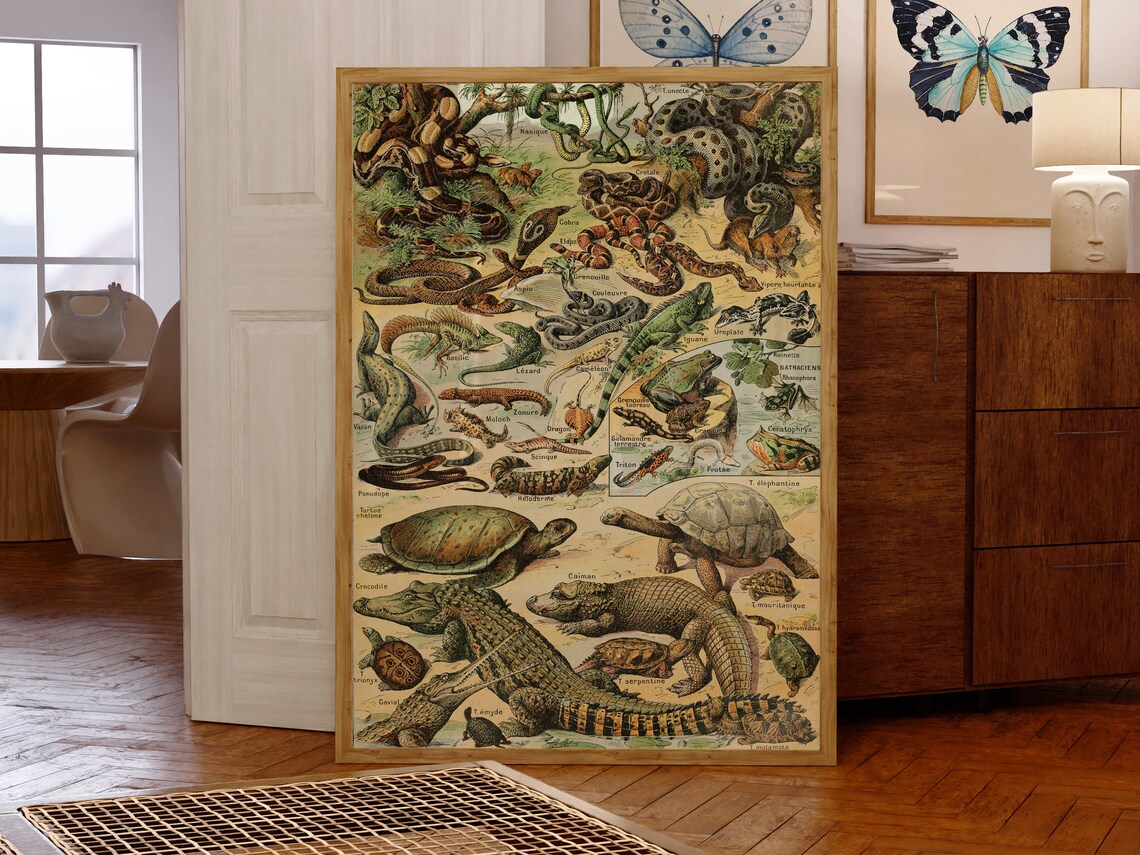 Adolphe Millot Reptiles Antique Natural History Illustration Poster - Image 3
