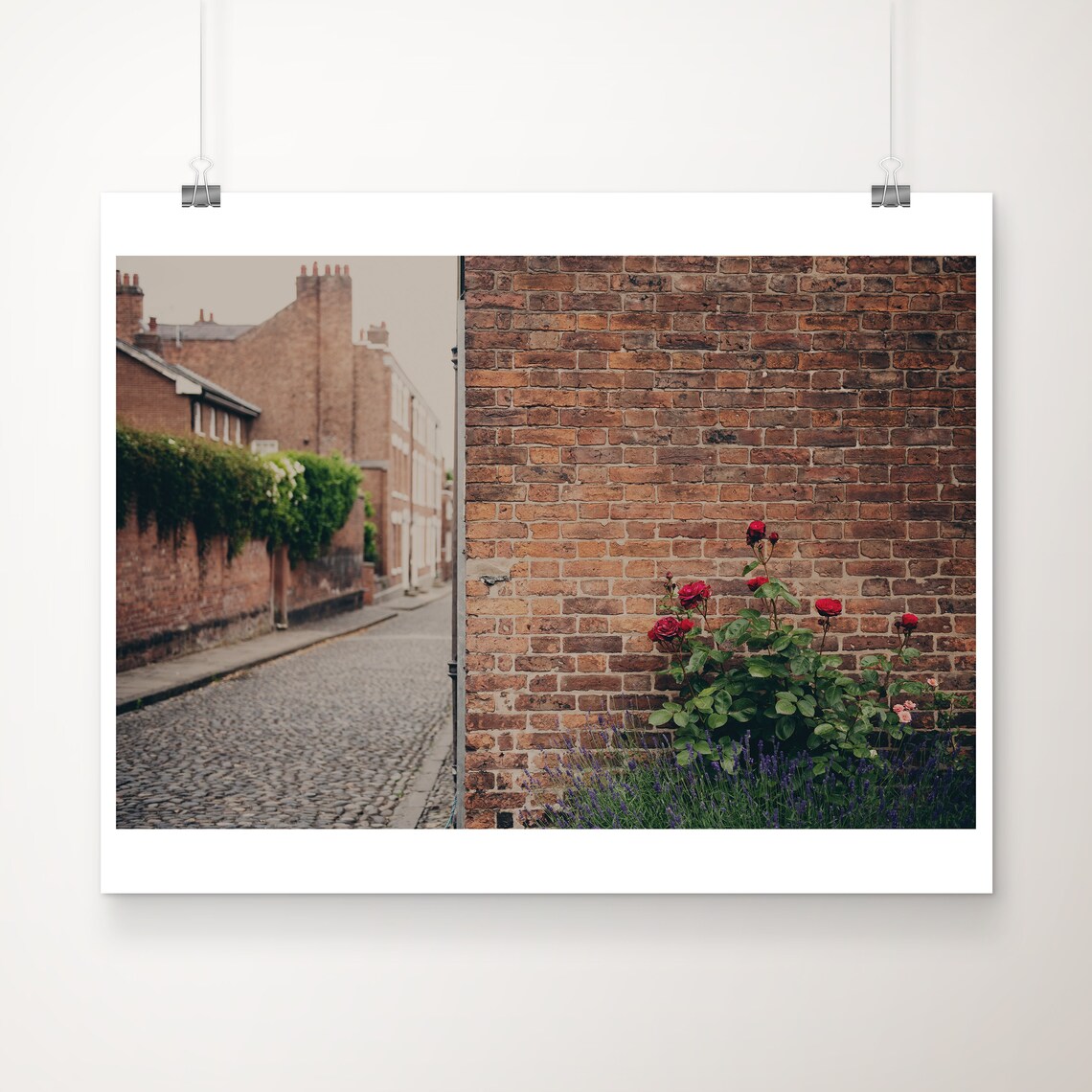 English Red Roses Brick Wall Cobblestone Street Photography Poster