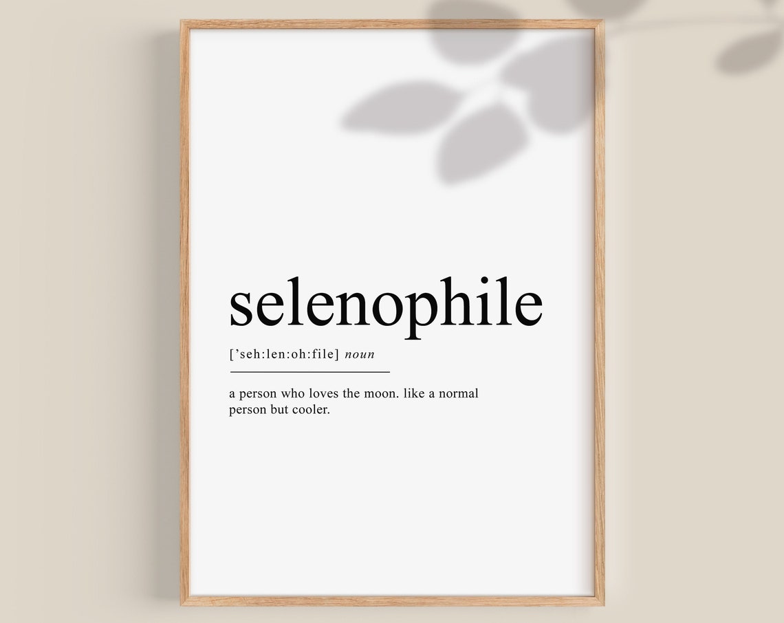 Selenophile Moon Lover Funny Dictionary Definition Celestial Poster
