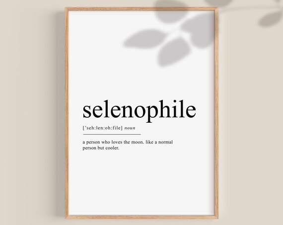 Selenophile Moon Lover Funny Dictionary Definition Celestial Poster