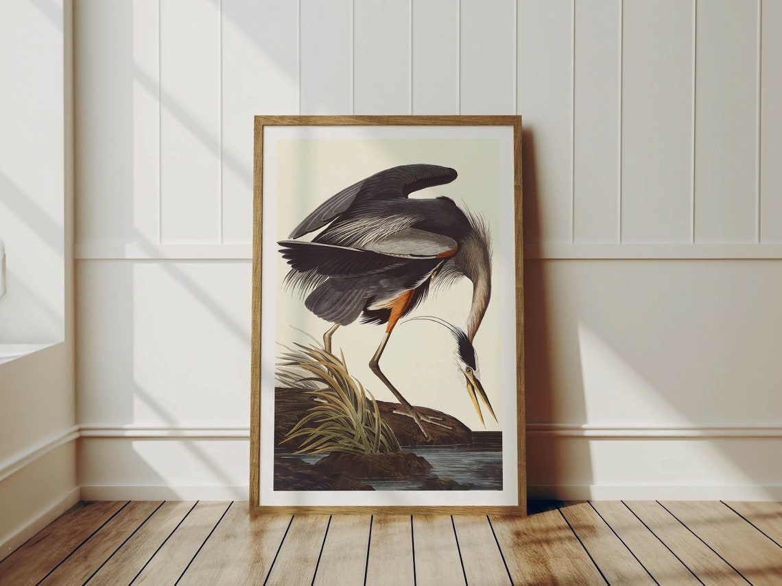 Great Blue Heron Vintage Ornithology Bird Illustration Art Poster