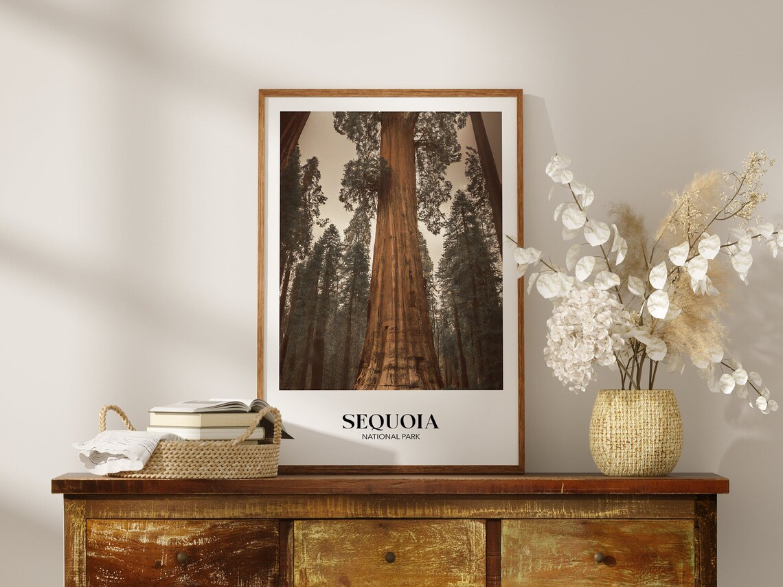 Sequoia National Park Vintage Travel Poster, Minimalist