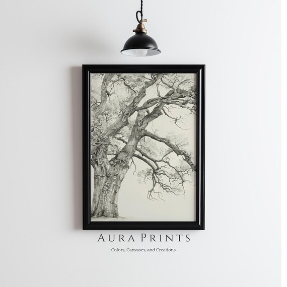 Ancient Oak Tree Gnarled Branches Pencil Sketch Nature Art Poster