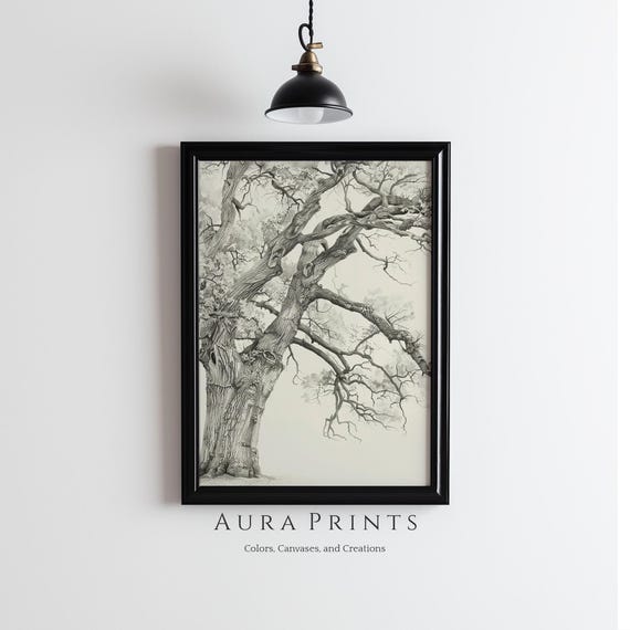 Vintage Oak Tree Pencil Sketch Neutral Wall Decor Farmhouse Cottage Gift Antique Nursery Art 1133