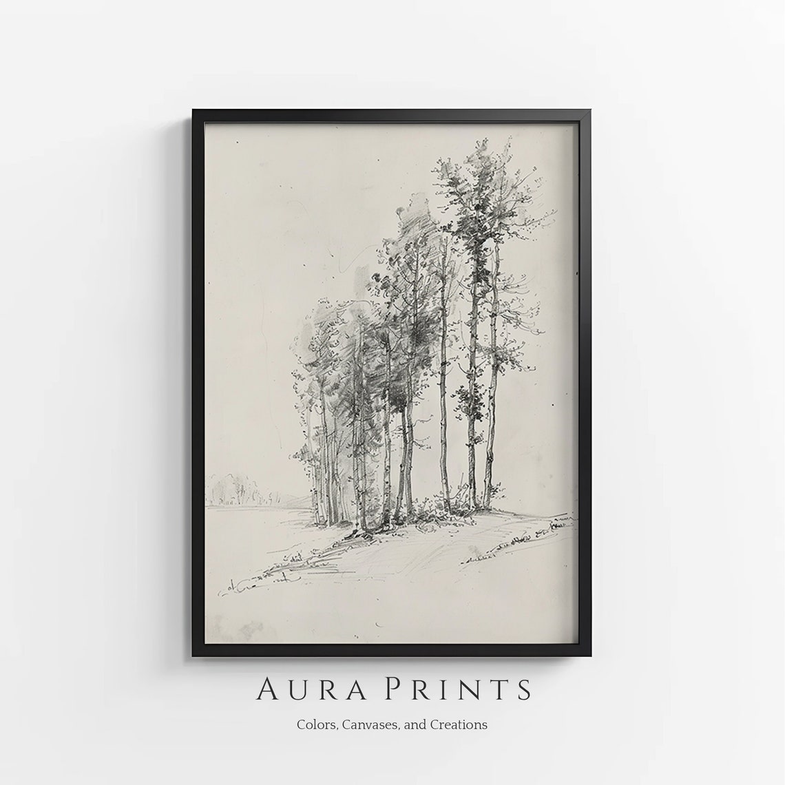 Tall Forest Trees Pencil Sketch Vintage Line Drawing Wall Poster