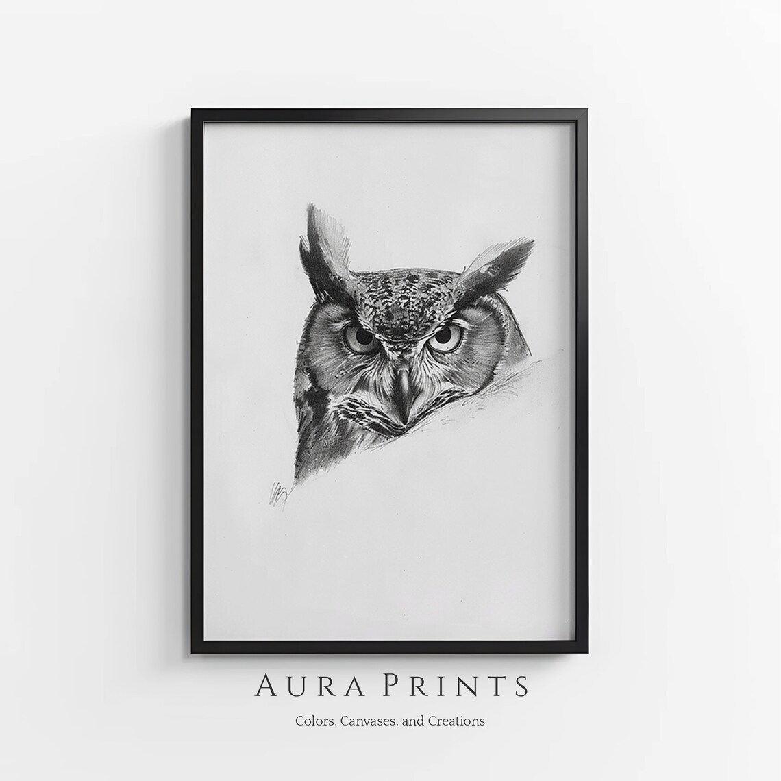 Wise Owl Sketch Charcoal Close Up Portrait Wildlife Nature Wall Art