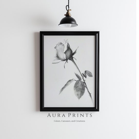 Blooming Rose Sketch Nature Illustration Vintage Cottage Wall Decor Rustic Farmhouse Gift 0964