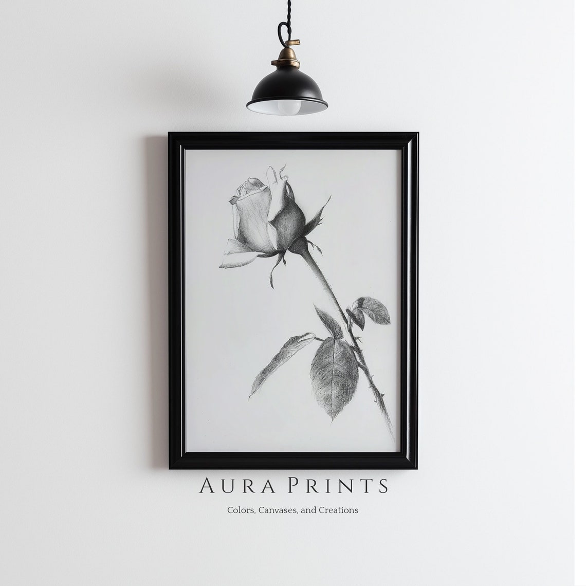 Blooming Rose Pencil Sketch Black and White Botanical Drawing Poster