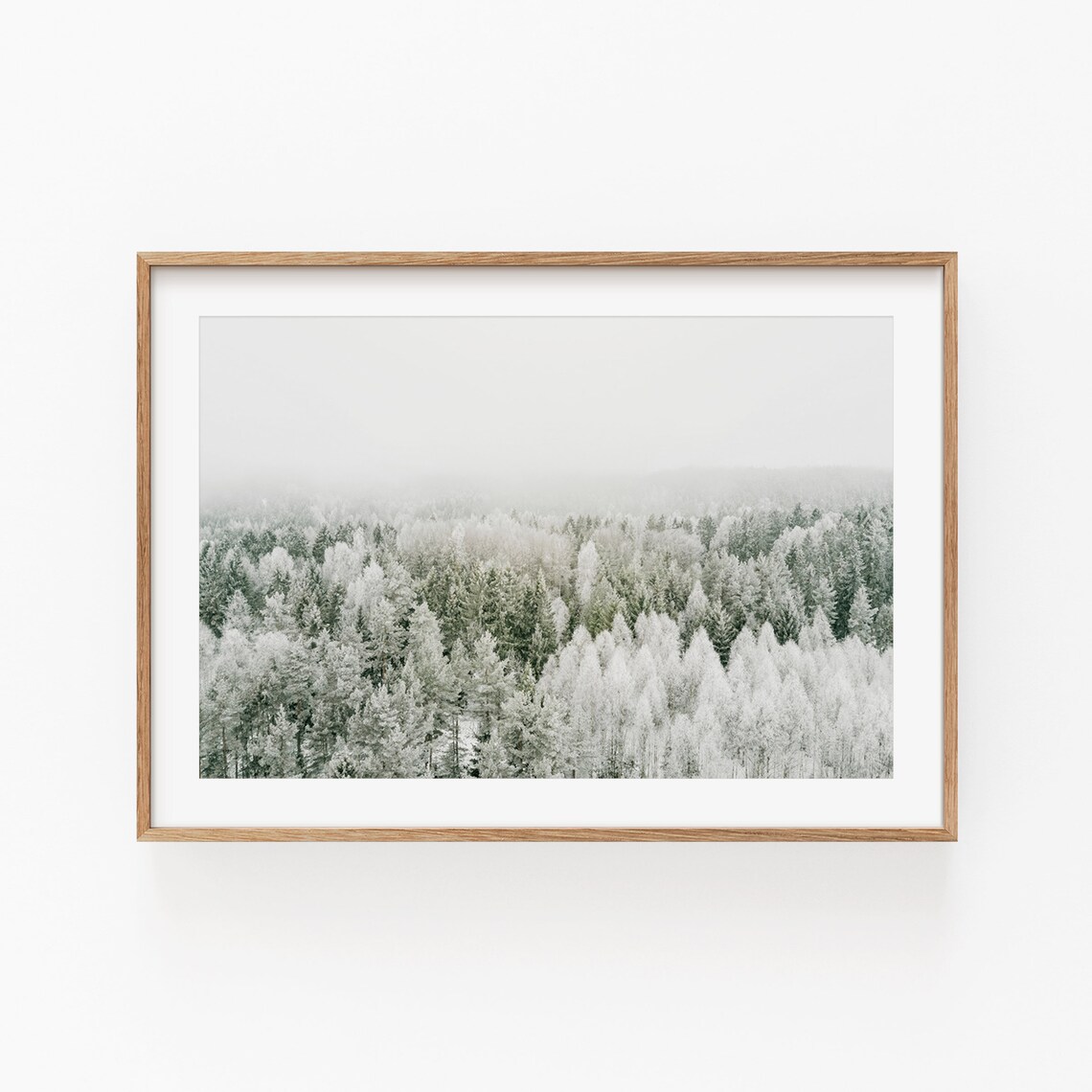 Pine Tree Print, Modern Minimalist Nature Poster - Image 4