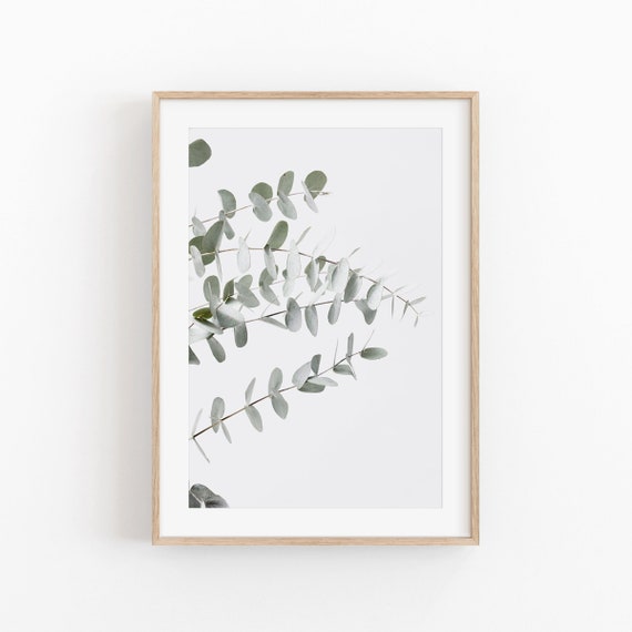 Eucalyptus Print, Modern Minimalist Art Print