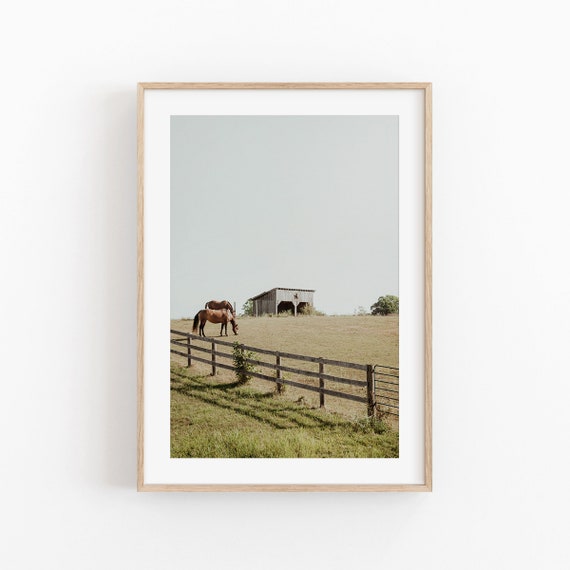 Canada Horse Poster, Modern Minimalist Art Print