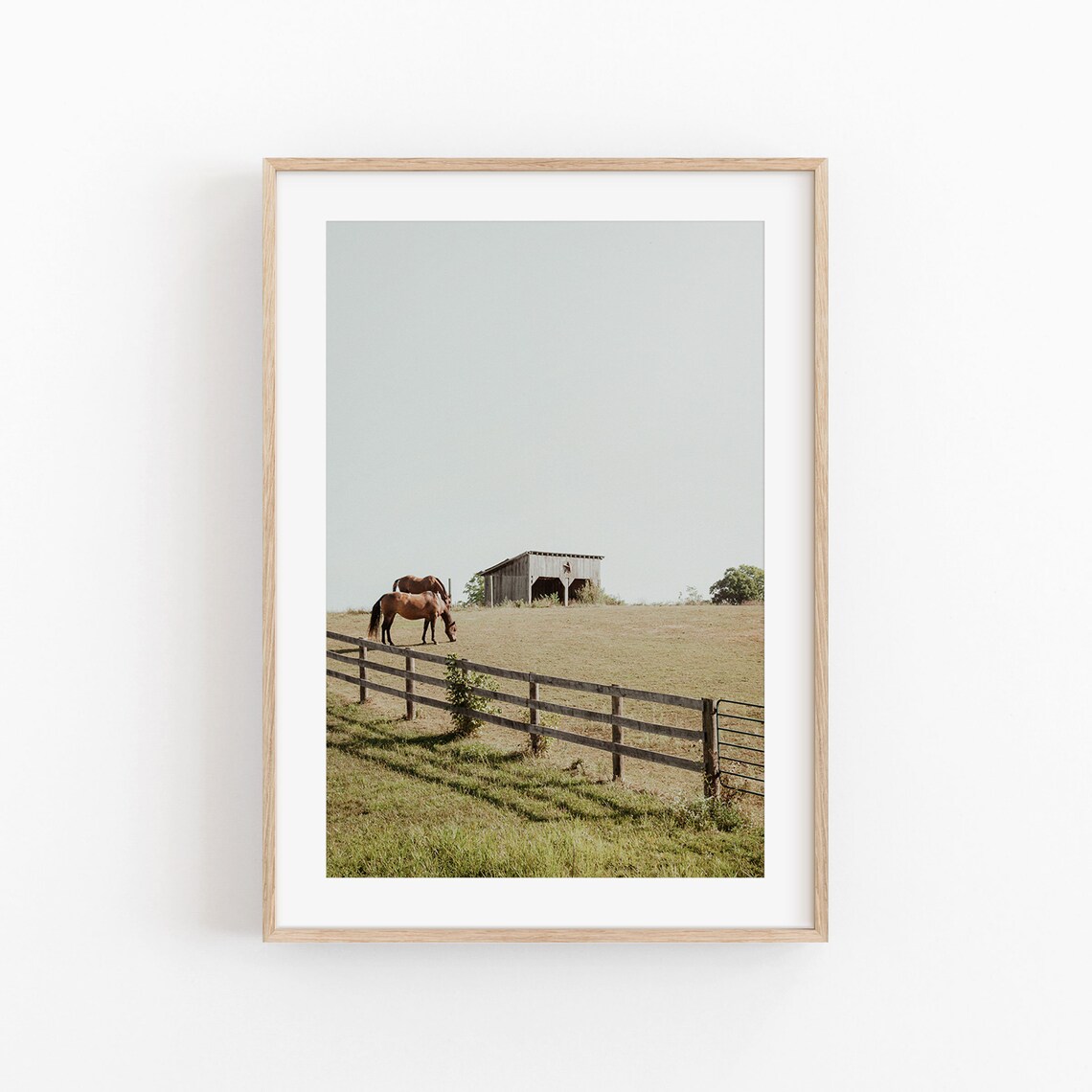 Canada Horse Poster, Modern Minimalist Art Print