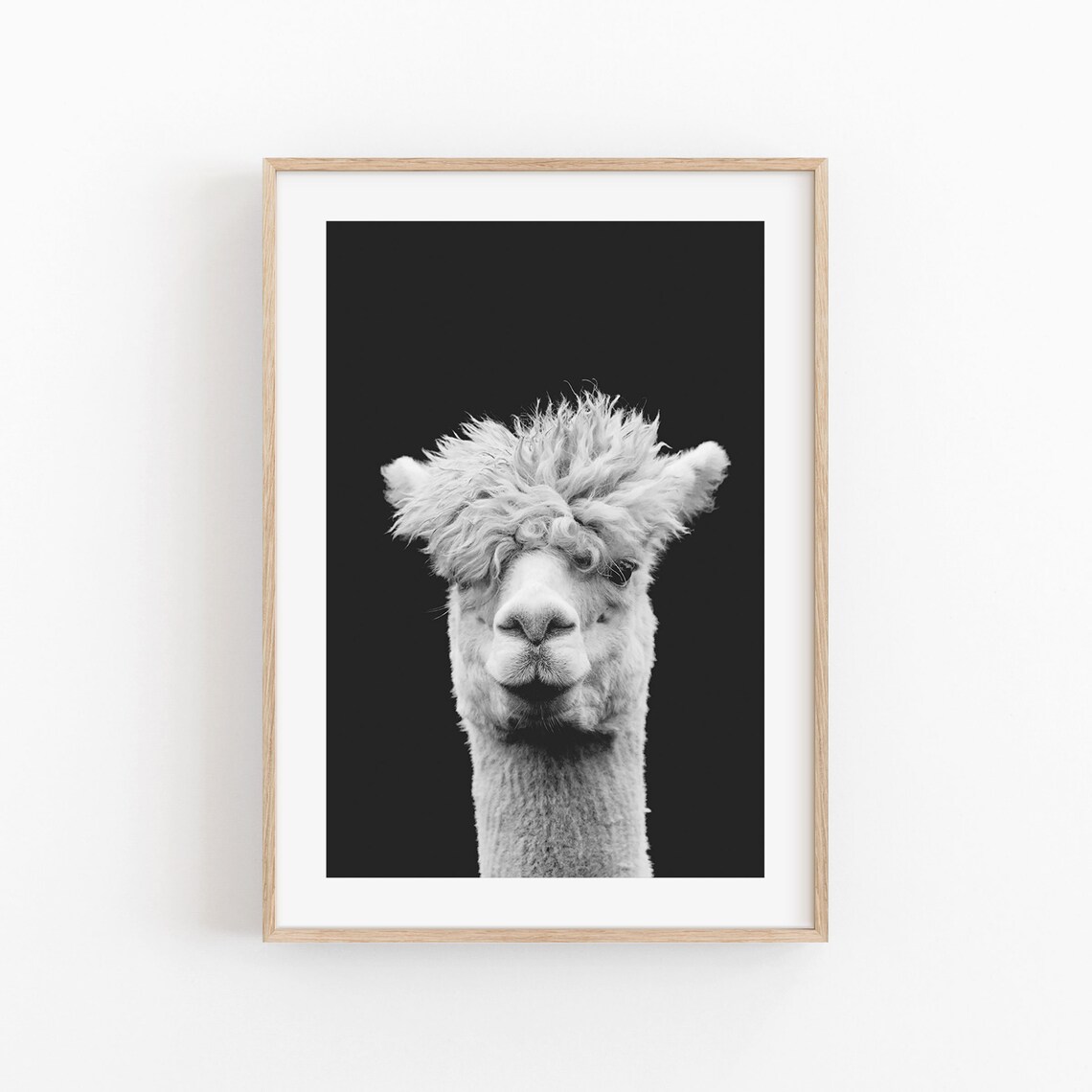 Llama Animal Print, Modern Minimalist Poster