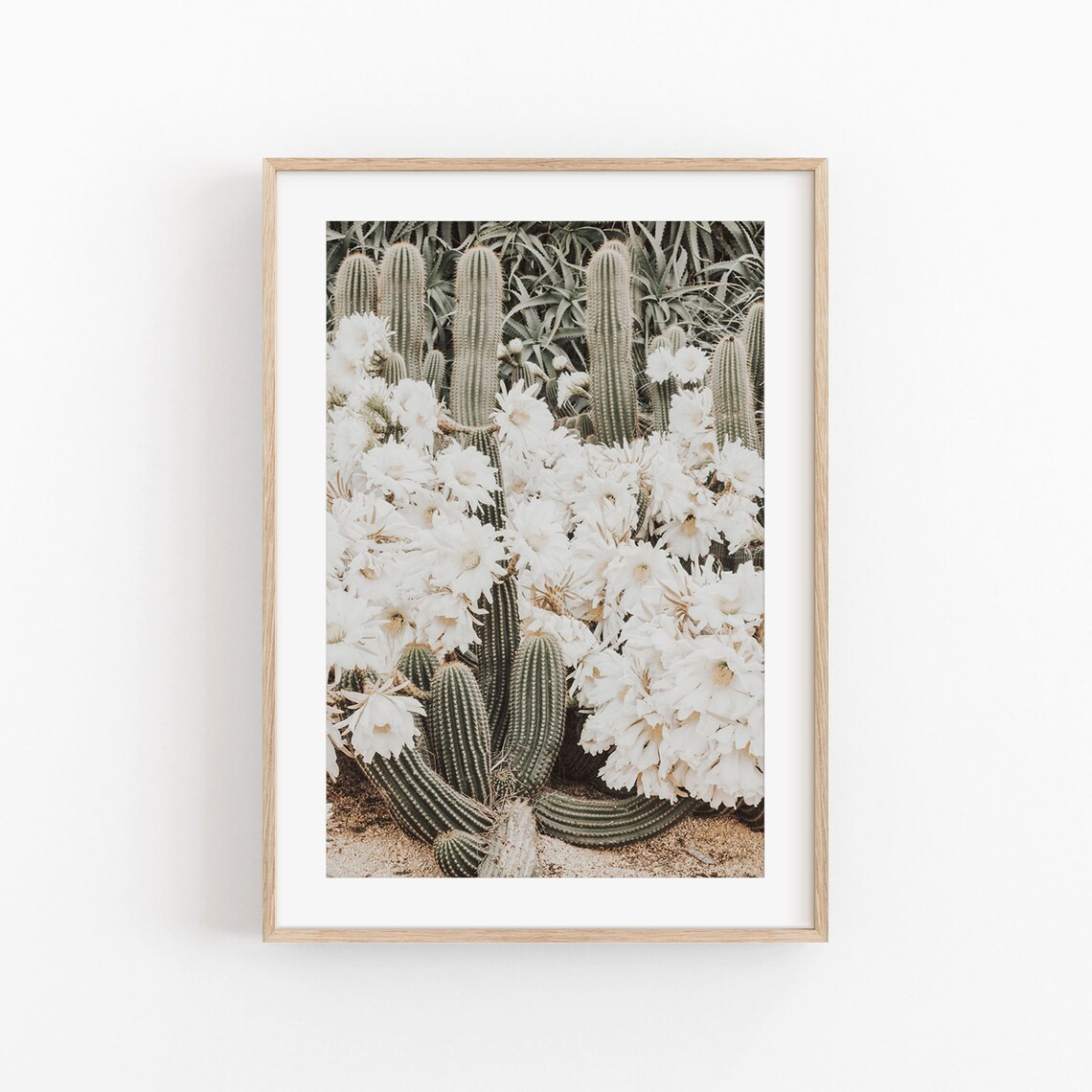 Cactus Nature Art Print, Tropical Wall Decor