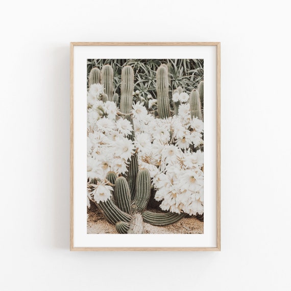 Cactus Nature Art Print, Tropical Wall Decor