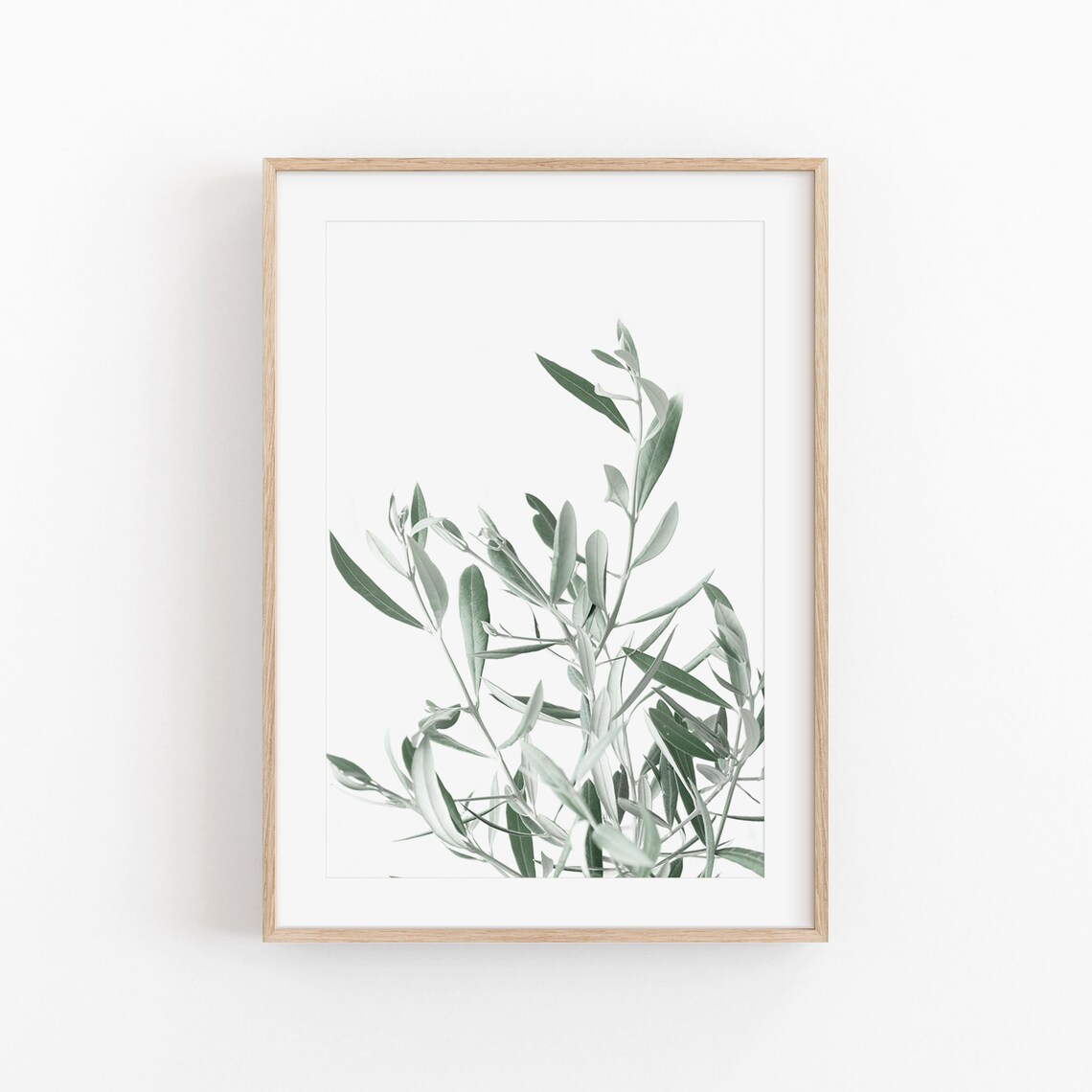 Olive Tree Botanical Art Print, Botanical Garden - Image 3