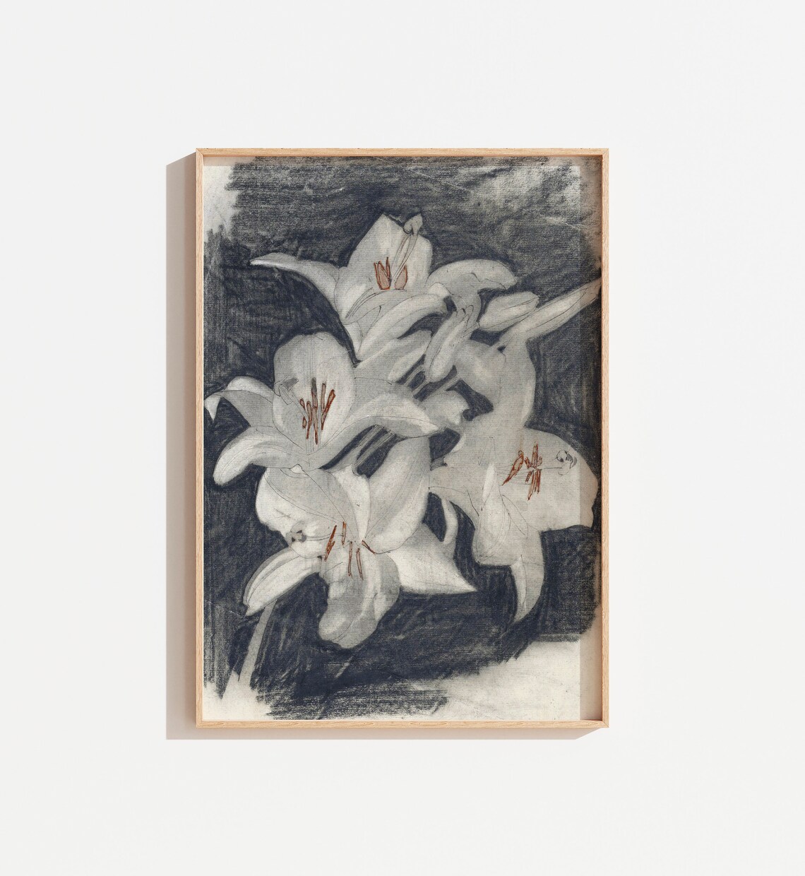 Antique Floral Chalk Drawing of White Lilies Art Print
