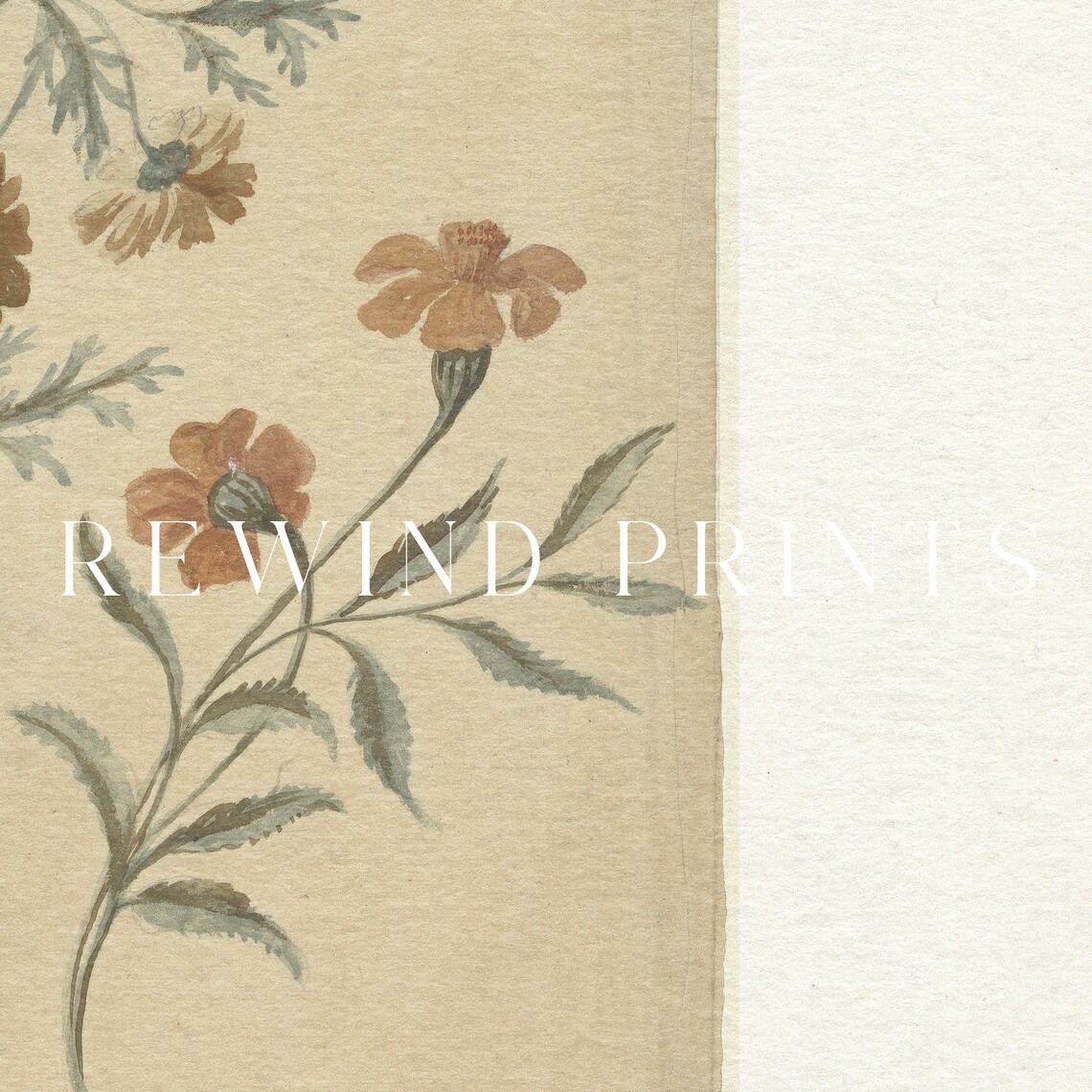 Vintage Neutral Cream Botanical Sketch Print - Image 2