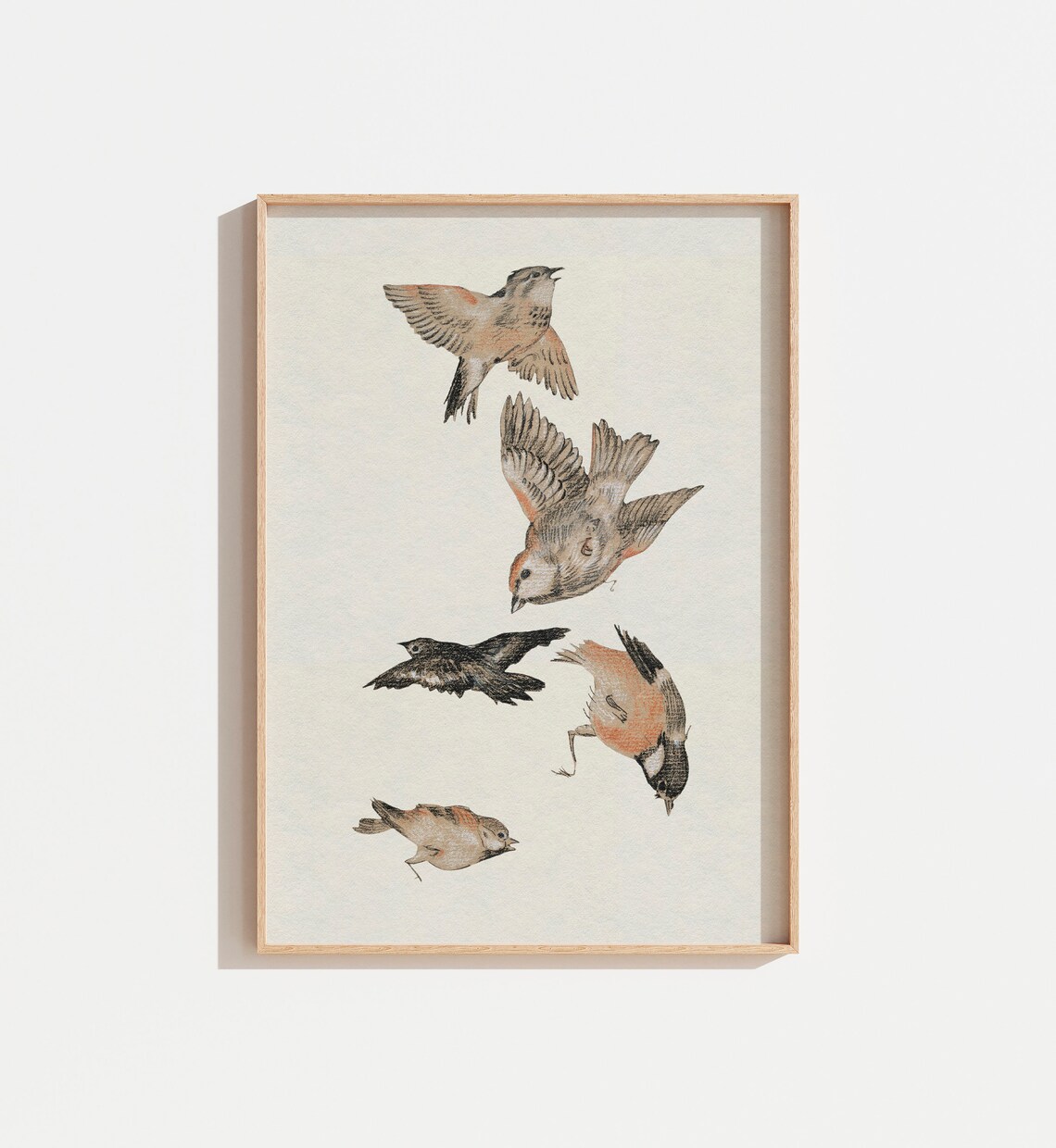 Antique Vintage Bird Drawing Sketch, Farmhouse Art Print