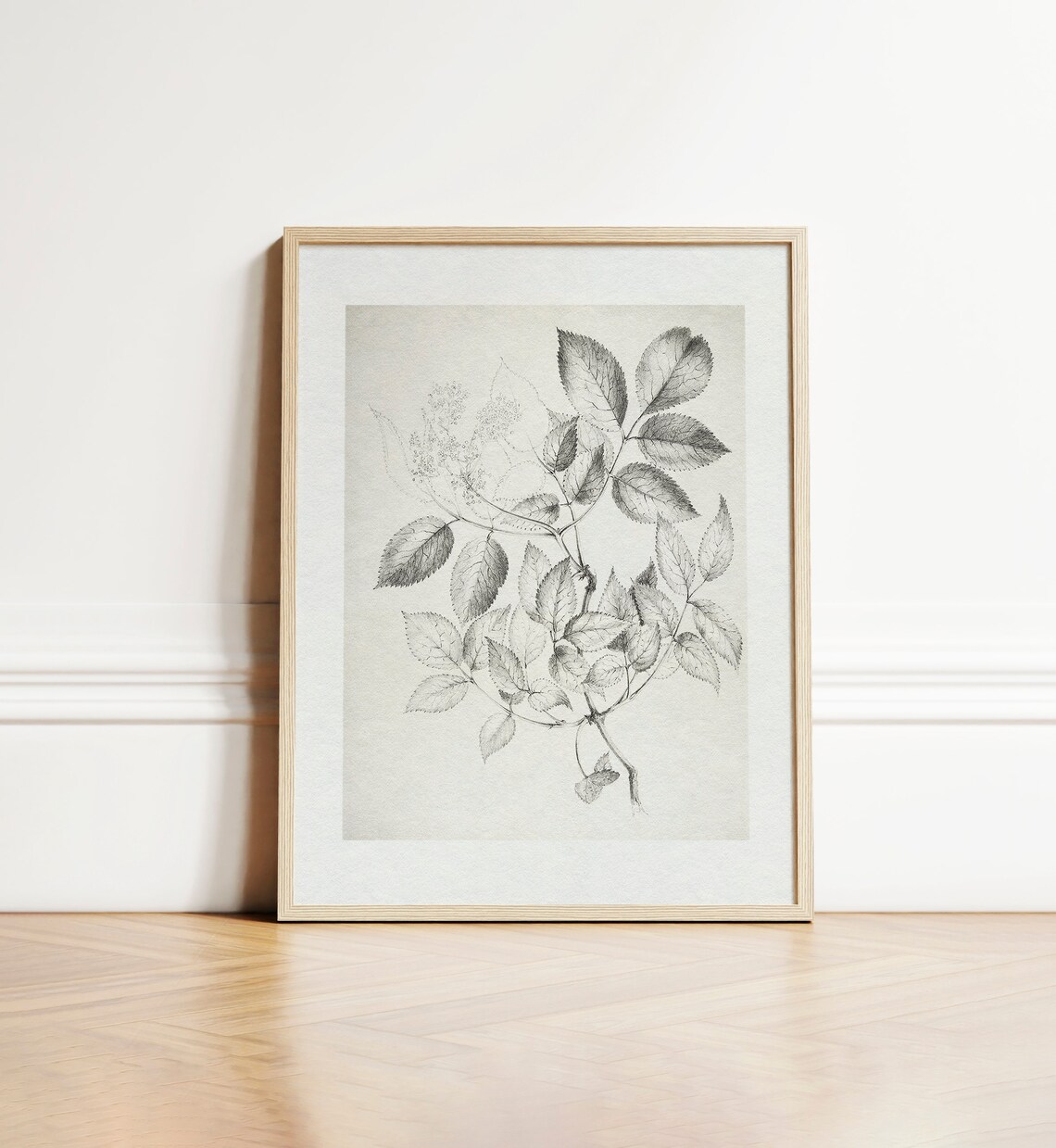 Vintage Black and White Botanical Drawing Art Print - Image 5