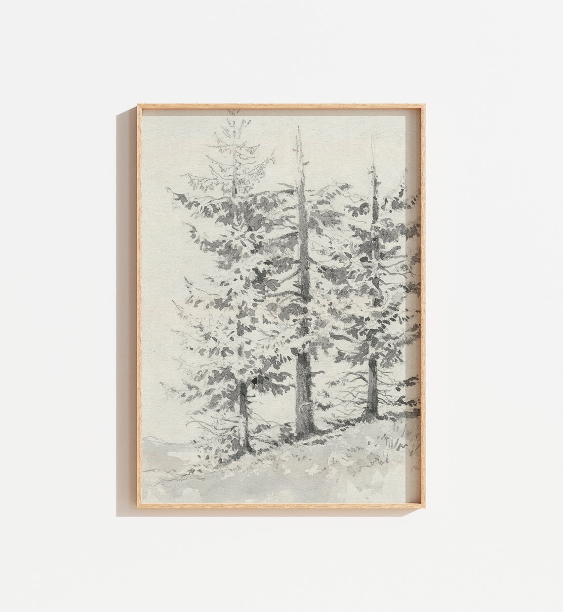 Vintage Winter Pine Tree Ink Sketch Black White Neutral Wall Art