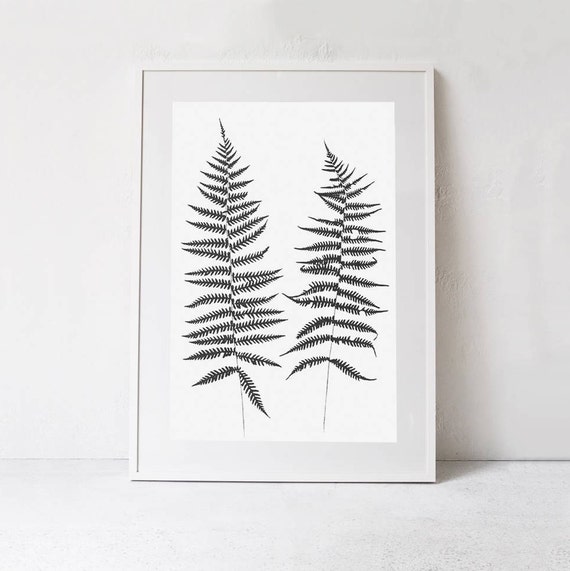 Large Botanical Fern Poster, Nature Art Print