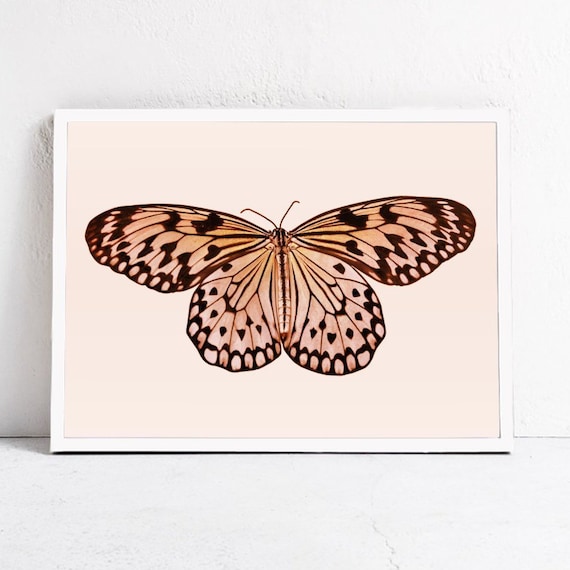 Butterfly Art Print, Neutral Nursery Earth Tones