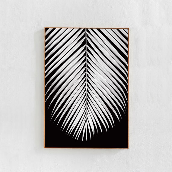 Tropical Leaf Black And White Poster Art Print