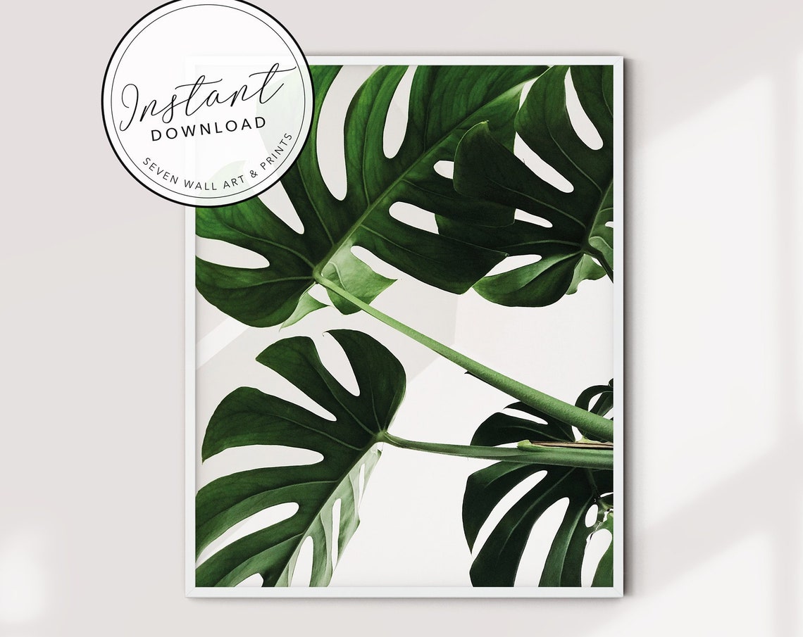 Monstera Leaf Print Tropical Leaf Poster Botanical Print Palm Leaf Art Modern Print