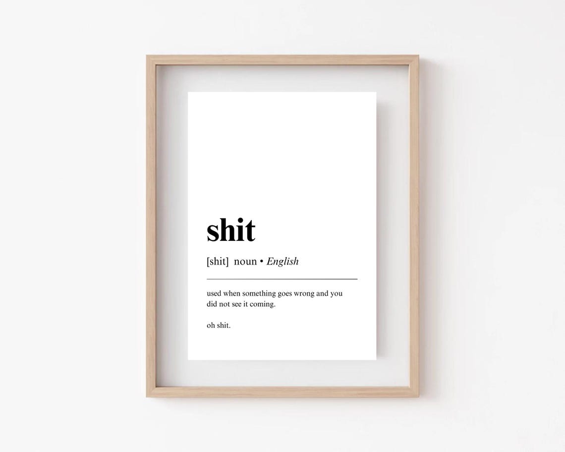 Shit Funny Definition Dictionary Poster Sarcastic Office Wall Decor - Image 3
