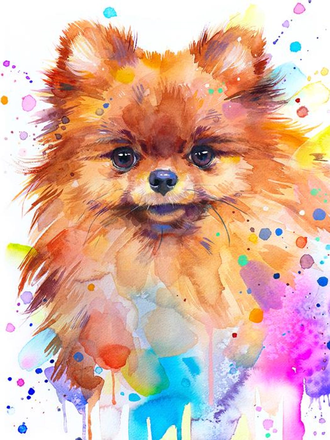Pomeranian Watercolor Splash Colorful Dog Portrait Bright Wall Poster - Image 5