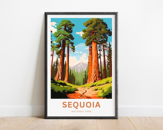 Sequoia National Park Giant Redwood Forest Trail Travel Poster