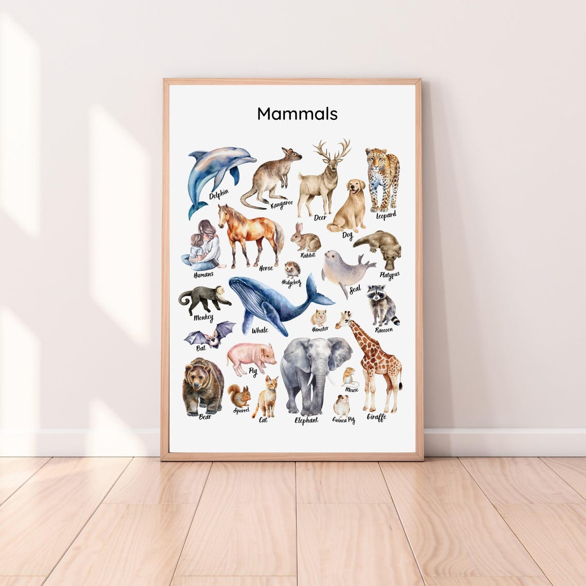 Mammals Educational Chart Watercolor Animals Elephant Whale Poster - Image 5