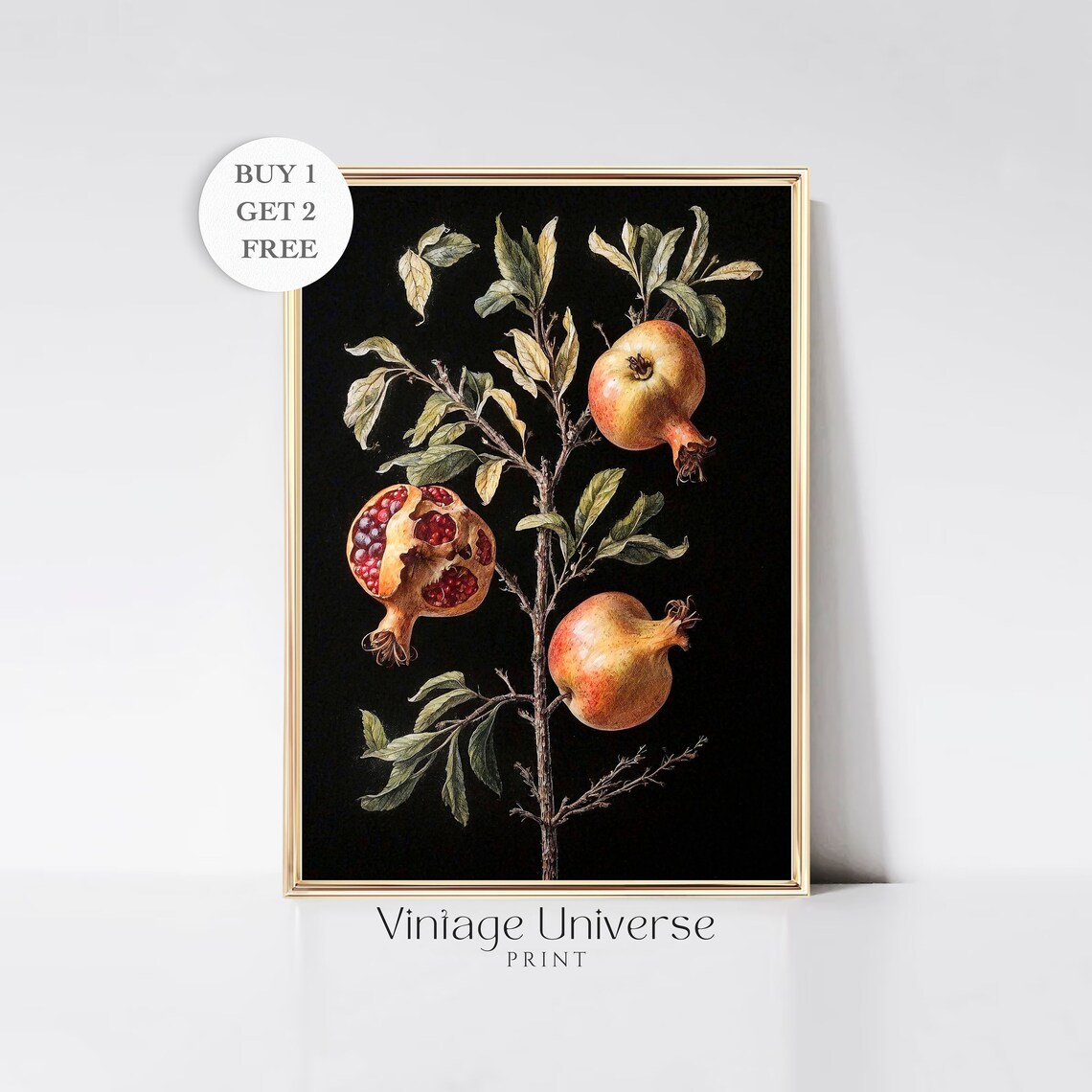 Pomegranate Branch Three Fruits Vintage Botanical Painting Poster
