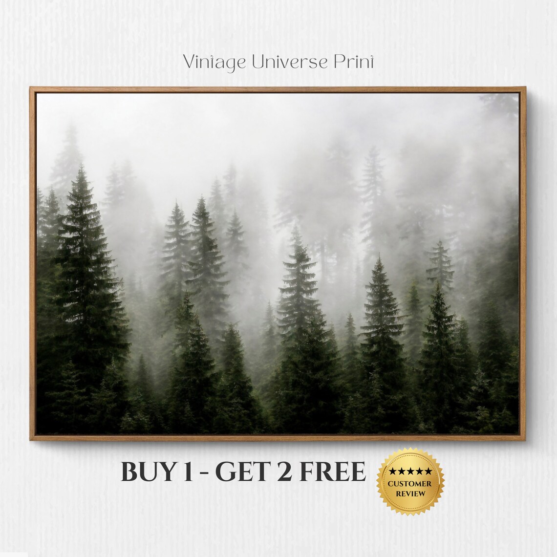 Foggy Evergreen Forest in Morning Mist Moody Woodland Poster