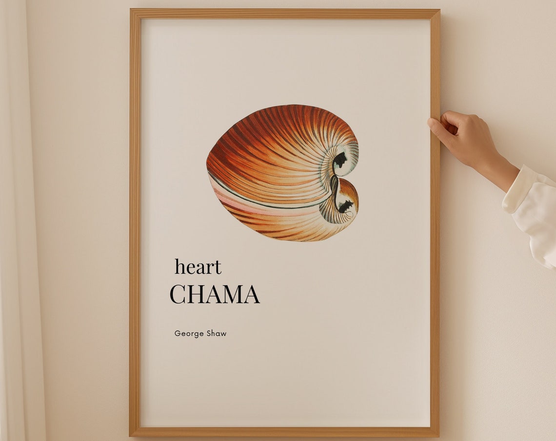 Heart Chama Shell George Shaw Vintage Coastal Marine Life Print