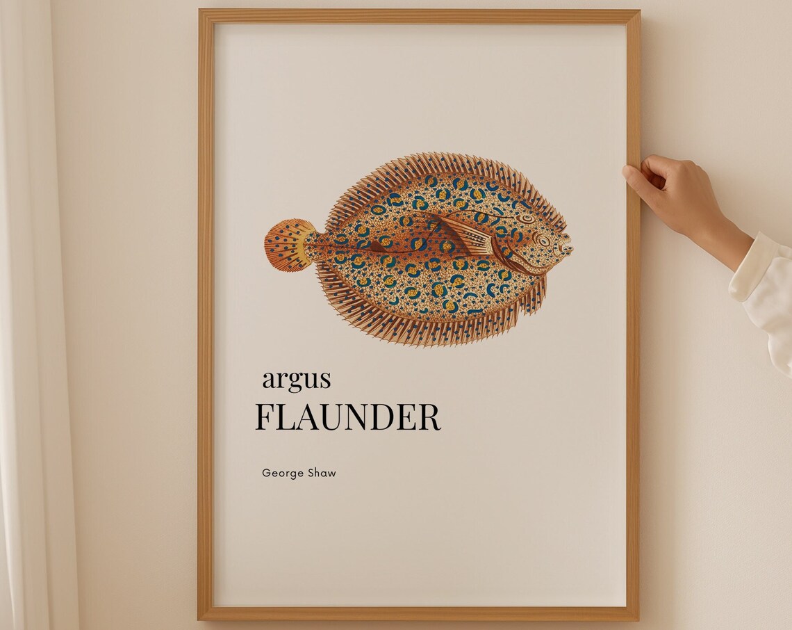 George Shaw Argus Flounder Vintage Marine Fish Artwork Poster