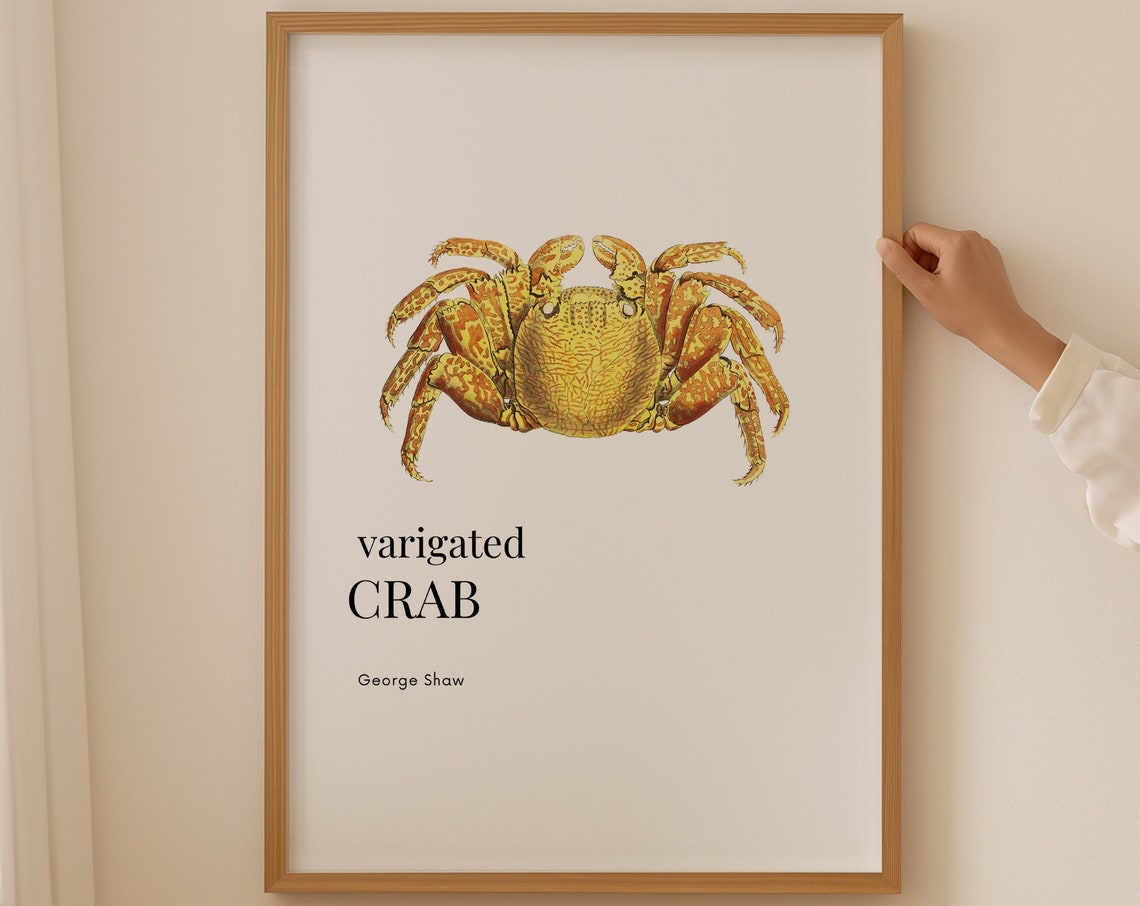 Variegated Crab George Shaw Vintage Coastal Kitchen Decor Poster