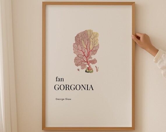 Coral Wall Art Neutral Wall Art Art And Collectibles Wall Art Prints Nautical Bathroom Original Painting Pink Coral Aquatic Plants