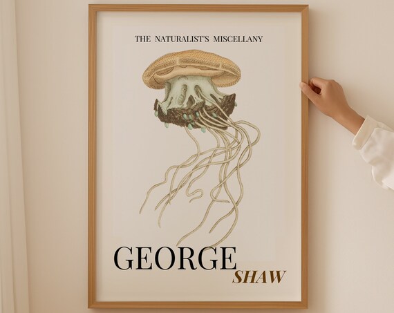 Crown Jellyfish Poster Antique Jellyfish Print Nautical Wall Art Jellyfish Room Decor Ocean Wall Art Under The Sea Jellyfish Print