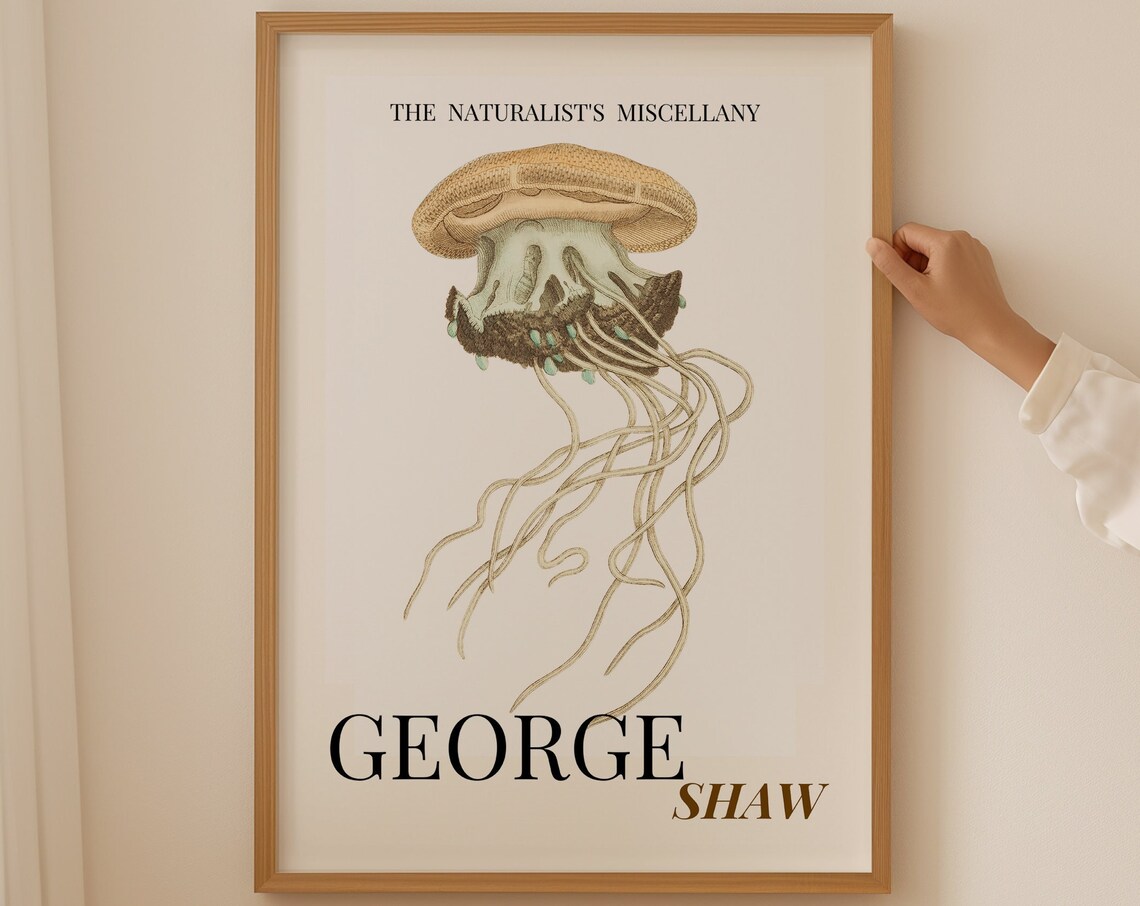 George Shaw Antique Crown Jellyfish Illustration Exhibition Poster