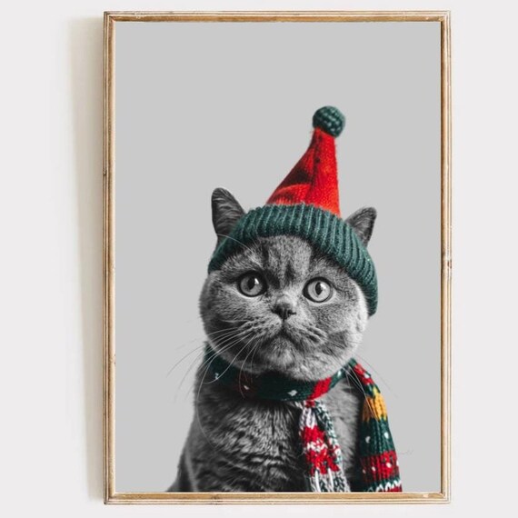Christmas British Shorthair Cat In Elf Hat Portrait Animal Wall Art