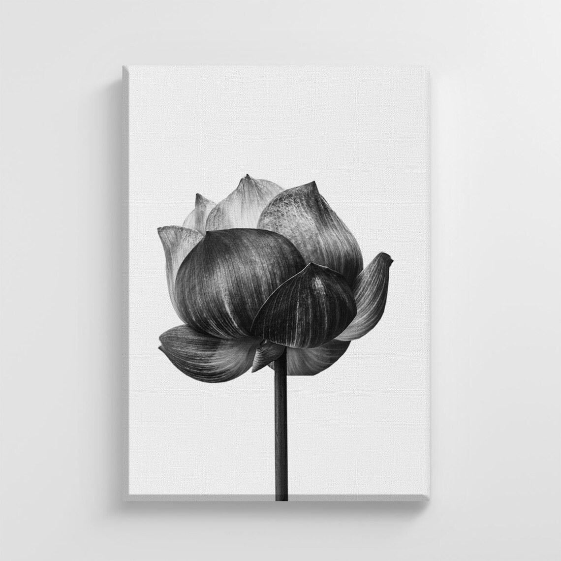 Flower Blossom Petals Watercolor, Floral Nursery Decor