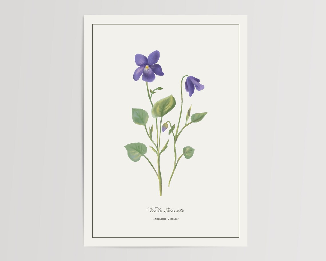 English Violet Watercolor Art Print, Floral Home Decor