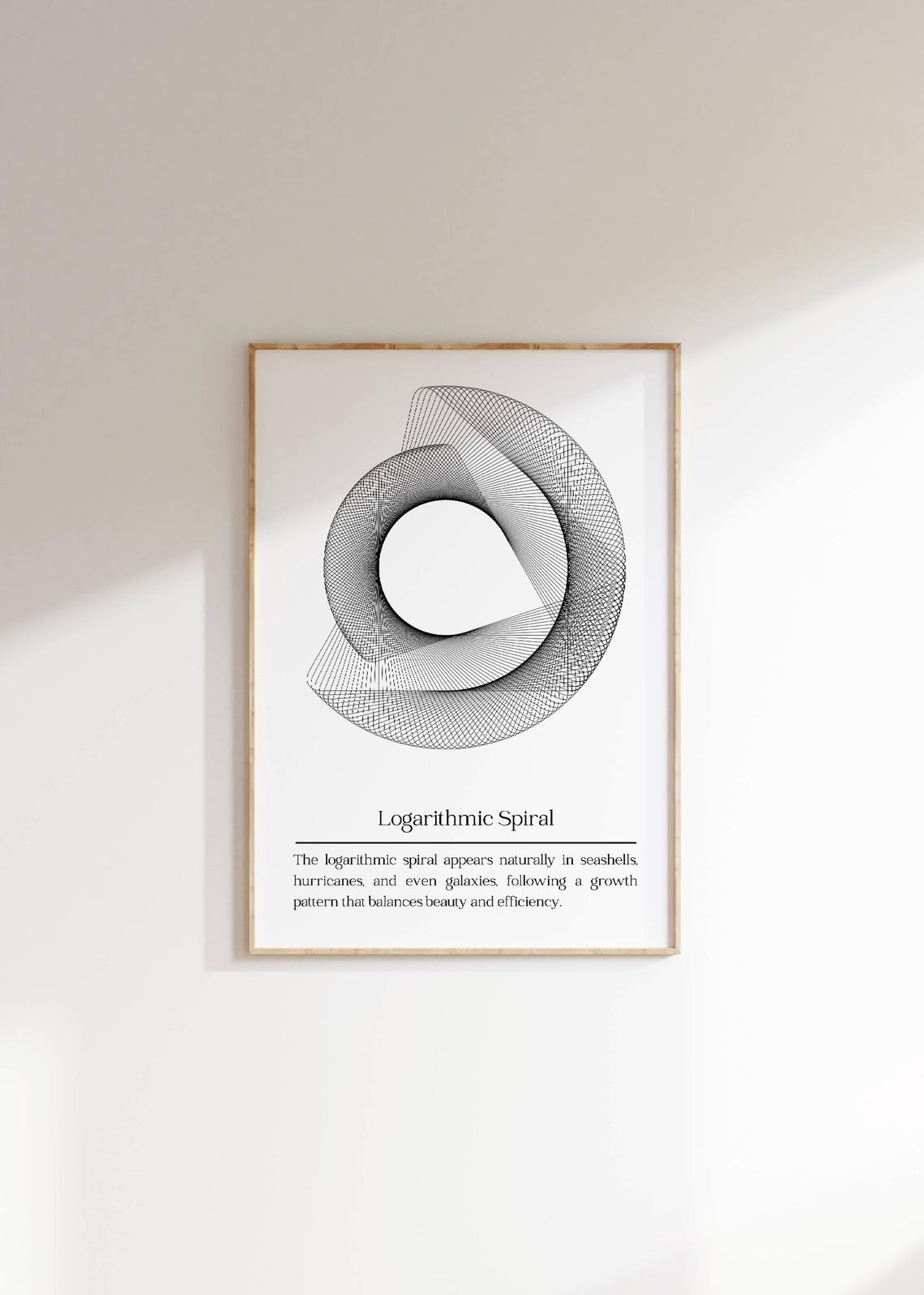Logarithmic Spiral Parametric Line Art Geometric Nature Math Poster