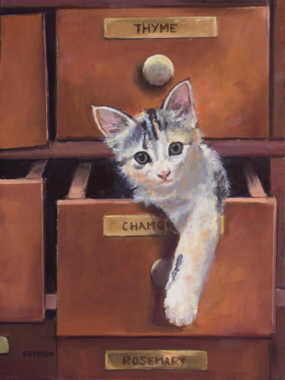 Playful Kitten Climbing Out of Vintage Herb Cabinet Drawers Poster
