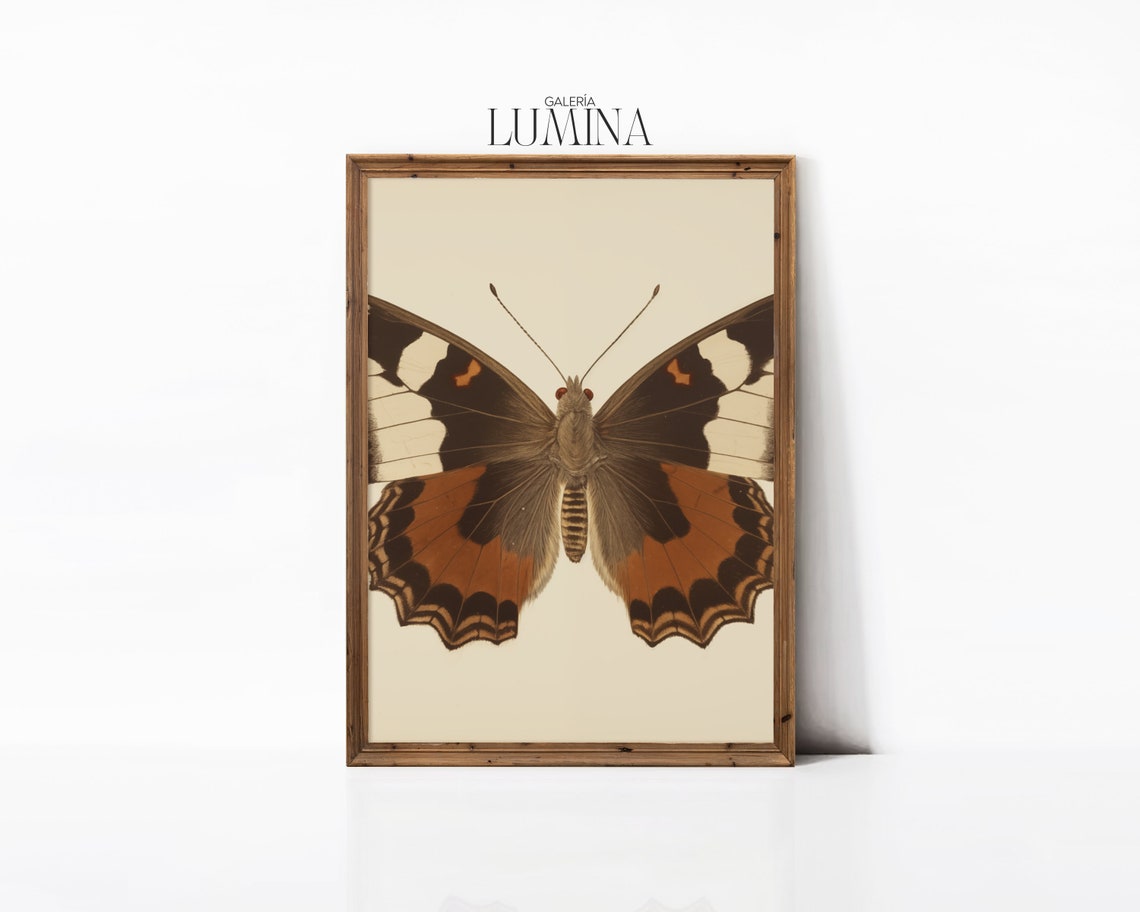 Vintage Butterfly Painting Neutral Butterfly Print Antique Butterfly Drawing Moody Insect Wall Art Art Frame Tv Art 291 - Image 3