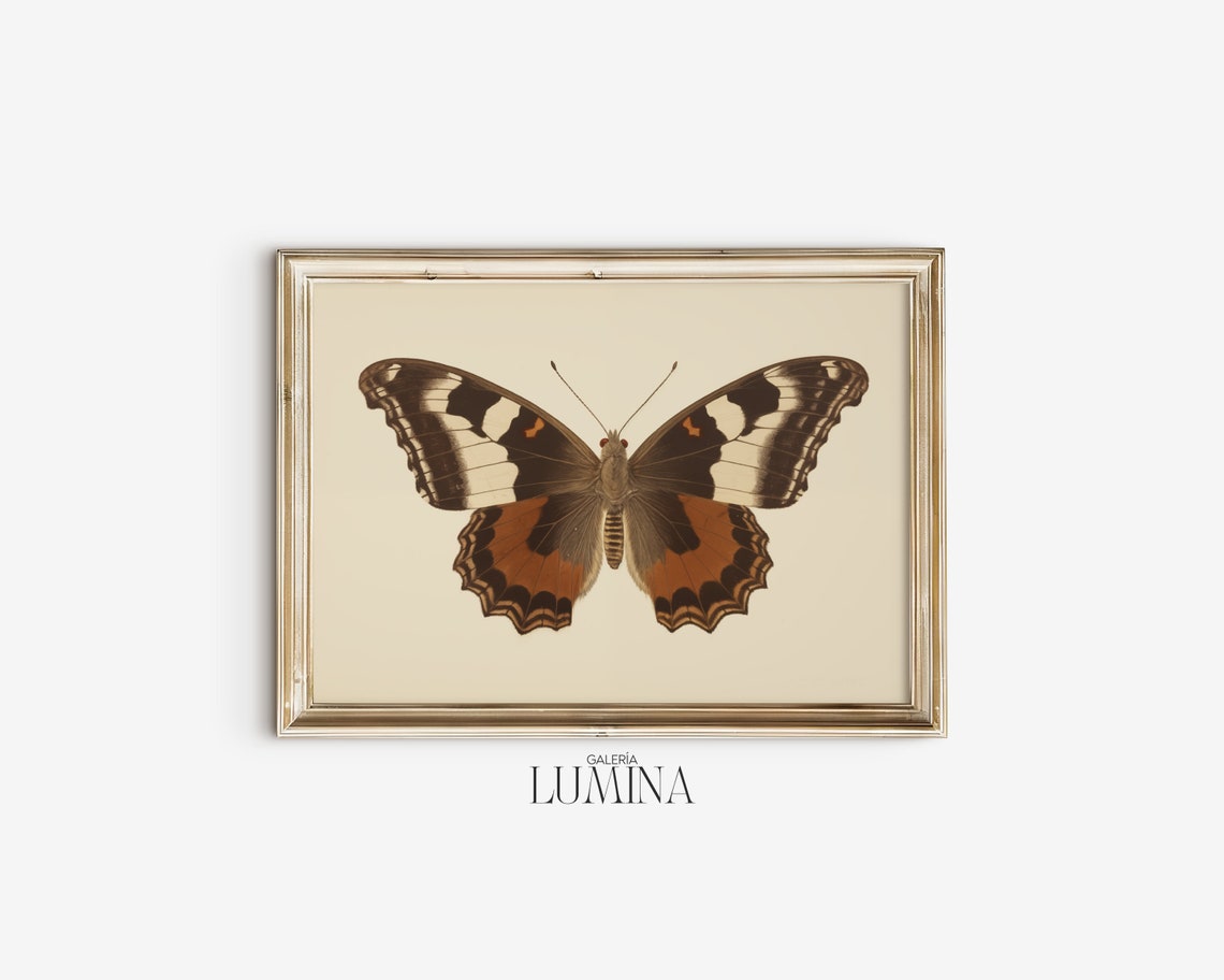 Vintage Butterfly Painting Neutral Butterfly Print Antique Butterfly Drawing Moody Insect Wall Art Art Frame Tv Art 291 - Image 2