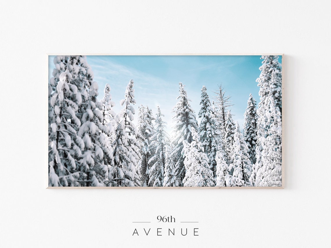 Snow Covered Evergreen Pines Under a Bright Blue Winter Sky Poster